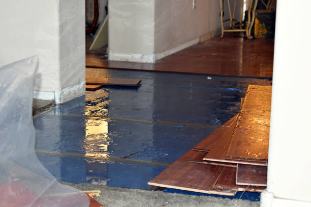 Professional Flood Damage Repair technician working in Osseo, MI